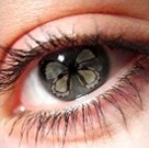 профессиональная косметика